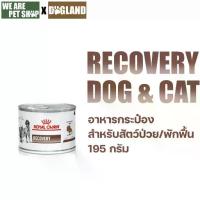 ราคา Royal Canin Vet Recovery อาหารสัตว์ป่วย พักฟื้น สุนัข/แมว ขนาด 195 กรัม/กระป๋อง (1731878036085048356)