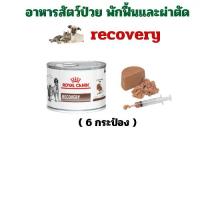 ราคา (หมดอายุ: 19/02/2027) royal canin อาหารสัตว์ป่วย พักฟื้น และผ่าตัด recovery (6 กระป๋อง) (1732506087213073978)