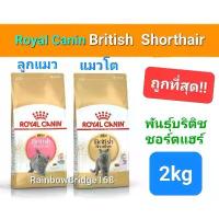 ราคา Royal Canin British Shorthair Kitten 2kg โรยัลคานิน ลูกแมวบริติช / British Shorthair Adult 2kg แมวโต ถุง 2 กก. (1732037112929879278)