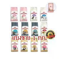 ราคา Royal Canin อาหารแมว แบบแบ่งขาย ถุง 1 kg (1732506052039771216)