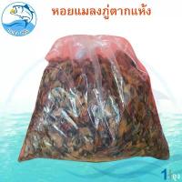 ราคา หอยแมลงภู่ตากแห้ง 3กิโล 1ถุง หอย หอยแมลงภู่ หอยแมลงภู่แห้ง ของแห้ง อาหารทะเล อาหารทะเลแห้ง อาหารทะเลตากแห้ง ของฝาก (1729449771584620599)