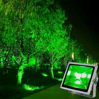 ราคา สปอร์ตไลท์ LED แสงสีเขียว 30W, 50W ไฟ DC 12-24V สปอร์ตไลท์แสงสีเขียว ไฟส่องต้นไม้ ไฟตกหมึก (1732067587513681229)