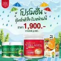 ราคา คอลลาเจน และ คลอโรฟิลล์ เพื่อสุขภาพที่ดี (1731728819415517387)