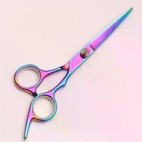 ราคา กรรไกรตัดผม ขนาด 6.0 นิ้ว กรรไกรตัดผมมืออาชีพ สำหรับตัดผมหยาบกร้าน ทำจากเหล็กญี่ปุ่น กรรไกรตัดผม เหล็ก เด็กช่าง สบัด ผม หวีผมดํา (1732600908399478282)