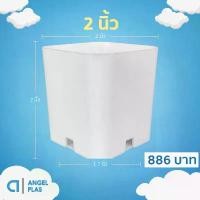 ราคา กระถาง กระถางแคคตัส กระถางสี่เหลี่ยม 2 นิ้ว สีขาว 1000 ใบ ชิ้น อัน (1732706340446963490)