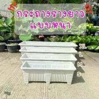 ราคา กระถางรางยาวสีขาว แบบหนา มีให้เลือก 4 ขนาดกระถางต้นไม้ กระถาง กระถางพลาสติก 8" สีอิฐ (1731680936689502541)