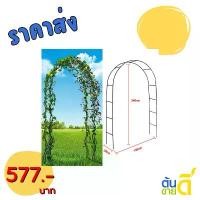 ราคา ซุ้มกุหลาบเลื้อยไม้เลื้อย ซุ้มเหล็กโค้ง ของแต่งสวนโครงซุ้มแต่งงาน กระถาง คําแนะนําการขายที่ร้อนแรงในเดือนนี้ (1732278343236945811)