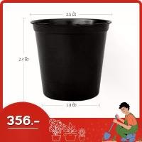 ราคา กระถาง กระถางต้นไม้ กระถางพลาสติก เบอร์ 2 2.5 นิ้ว สีดำ 500 ใบ ยกมัด ยกกระสอบ (1732778663176733968)