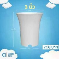 ราคา กระถาง กระถางแคคตัส กระถางปากแตร 3 นิ้ว สีขาว 50 ใบ ชิ้น อัน (1732661177442731157)