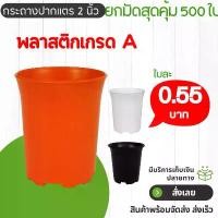 ราคา กระถางปากแตร กระถาง กระถางไม้กราฟ ทรงสูง 4 นิ้ว 50 ใบ สีดำ ยกมัด (1732661006088111596)