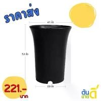 ราคา กระถางปากแตร กระถาง กระถางไม้กราฟ ทรงสูง 4 นิ้ว 50 ใบ สีดำ ยกมัด (1732661165232719044)