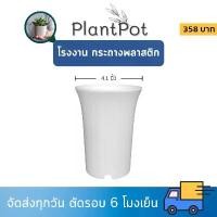 ราคา กระถาง กระถางแคคตัส กระถางปากแตร 4 นิ้ว สีขาว 50 ใบ ชิ้น อัน (1732290560353928277)