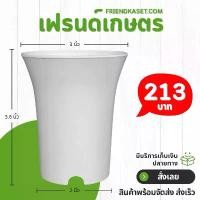 ราคา กระถาง กระถางแคคตัส กระถางปากแตร 3 นิ้ว สีขาว 50 ใบ ชิ้น อัน (1732673441811105602)