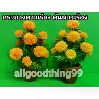ราคา ดอกดาวเรือ ดาวเรืองกระถาง ต้นดาวเรืองปลอม ดอกไม้ไหว้พระ ดอกไม้ไหว้พระ ดอกดาวเรือง ขาย 1กระถาง 90 บาท สูง 11นิ้ว สีเหลืองส้ม ดาวเรืองปลอม (1732337576492174169)