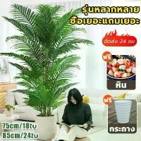 ราคา 【คุ้มสุด!มีของแถม】ต้นไม้ปลอมใหญ่ ต้นไม้ปลอม ความจำลอง99% ไร้กลิ่น 68/85/95cm 24ใบไม้ แถมฟรีหิน กระถาง สไตล์นอร์ดิก พาน ทุเรียน มาลัย วัน แม่ ตะกรุด หลวงพ่อตัด วัด ไชนา พระ (1732003822552450464)