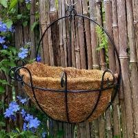 ราคา ตะกร้าติดผนัง ขนสัตว์ปะการัง ตกแต่งผนัง เหมาะสำหรับกระถางฉ่ำและพืชฉ่ำ การจัดดอกไม้ กระถาง Chlorophytum กระถางดอกไม้ครึ่งวงกลม ตะกร้าแขวน (1731297692388197445)