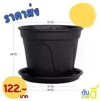 ราคา กระถาง กระถางต้นไม้ กระถาง ลายย้อย + จาน ขนาด 6 นิ้ว สีดำ 10 ใบ ชิ้น อัน (1732647876579461086)