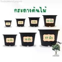 ราคา กระถางต้นไม้ กระถางพลาสติก กระถาง 4 นิ้ว 6 นิ้ว 8 นิ้ว 10 นิ้ว 12 นิ้ว มีบริการเก็บ (1732335755172678455)