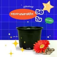 ราคา กระถาง กระถางต้นไม้ กระถางพลาสติก 6 นิ้ว 50 ใบ (1731209095333841590)
