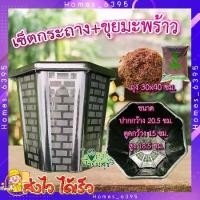 ราคา เซ็ตกระถาง+ขุยมะพร้าว ( กระถาง 3ใบ + ขุยมะพร้าว 1ถุง ) กระทรงแปดเหลี่ยม + ขุยมะพร้าว อย่างดีกระถางสติ๊ก อย่างดี ทรงสวยหน้าใช้ HGK (1729710818949696288)