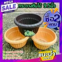 ราคา กระถางปลูกต้นไม้ 9.5" 2 แถม 1 กระถางต้นไม้พลาสติก กระถางปลูกต้นไม้ กระถาง เนื้อดี ปลูกต้นไม้ ปลูกผัก บอน ไม้มงคล HGK (1729716448513592096)