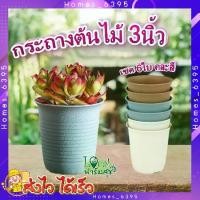 ราคา กระถางปลูกต้นไม้ ทรงกลม ใบเล็ก Tree O ขนาด 3นิ้ว (เซต 6ใบ) คละสี รุ่น 6PY057-MX กระถางต้นไม้ กระถาง กระถางพลาสติก อย่า HGK (1729716449689570080)