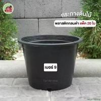 ราคา SaraHYShop กระถาง กระถางต้นไม้ กระถางพลาสติก 9นิ้ว 20ใบ จัดส่งฟรี กทม (1732277245319480623)