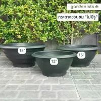 ราคา Crazyhuangxingyuanshangmao มีบริการเก็บ กระถาง อ่างบัว แบบมีรู และไม่มีรู 12-18นิ้ว กระถางชวนชม (1732291127875045212)