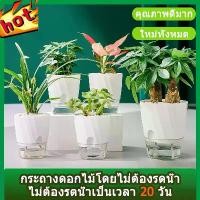 ราคา กระถาง น้ำอัตโนมัติ กระถางบอนไซ กระถางโรมัน อัตโนมัติ กระถางดอกไม้ที่ไม่จำเป็นต้องรดน้ำ กระถางยาว (1731481088733317227)