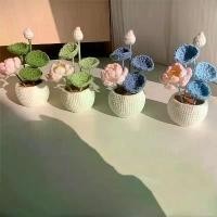 ราคา ชุดโครเชต์ดอกบัว กระถาง แฮนด์เมด ดอกบัวนำโชค พวงช่อดอกไม้ประดิษฐ์ ดอกไม้ประดิษฐ์ ปี 2025 (สินค้าไม่เสร็จ) ผลิตภัณฑ์ DIY (1731750745115560560)