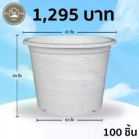 ราคา กระถาง กระถางต้นไม้ กระถางพลาสติก เบอร์ 9 นิ้ว สีขาว 100 ใบ ชิ้น อัน (1731126632027949361)