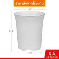 ราคา กระถาง กระถางต้นไม้ กระถางพลาสติก เบอร์ 2 1.9 นิ้ว สีขาว 50 ใบ ยกมัด ยกกระสอบ คลังสินค้า (1732123330876900971)