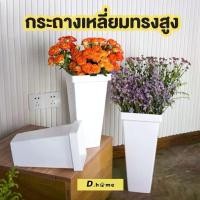 ราคา กระถาง กระถางพลาสติก กระถางเหลี่ยมทรงสูงสีขาว (1732541424107881849)