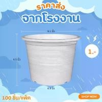 ราคา กระถาง กระถางต้นไม้ กระถางพลาสติก เบอร์ 9 นิ้ว สีขาว 100 ใบ ชิ้น อัน (1730237272459676632)