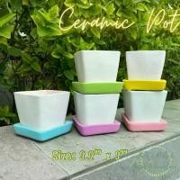 ราคา *เซ็ต 5 ใบ* กระถางเซรามิค กระถางต้นไม้มินิมอล กระถาง 3 นิ้ว กระถางแคคตัส กระถางทรงเหลี่ยม ขนาด กว้าง 3.2 นิ้ว สูง 3 นิ้ว พร้อมจานรองกระถางสีพาสเทล (1729709951729241061)