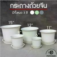 ราคา RLL ❆[รุ่นหนาพิเศษ] กระถาง กระถางต้นไม้ กระถางพร้อมจานรอง ขนาด 6” 8” 11” 12” 15” ราคาถูก‼️➳ (1731261509278860751)