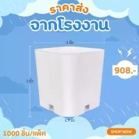 ราคา กระถาง กระถางแคคตัส กระถางสี่เหลี่ยม 2 นิ้ว สีขาว 1000 ใบ ชิ้น อัน (1730220511602445272)