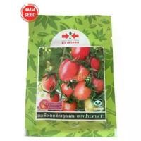 ราคา มะเขือเทศเทพประทาน 2000 เมล็ด จัดส่งที่รวดเร็ว (1732728467204179444)