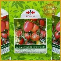 ราคา FridgeFiesta ความคงทน มะเขือเทศ สีดา #เทพประทาน 2000 เมล็ด (1730777329518872806)