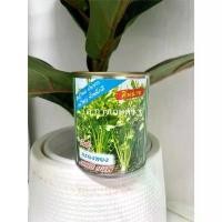 ราคา โค้ตส่งฟรีลดสูงสุด 300 เมล็ด ผักคื่นฉ่าย คืนฉ่าย ตราปลาทอง ขนาด50กรัม พันธุ์กรองทอง ขึ้นช่าย คืนช่าย (1731733479675495762)