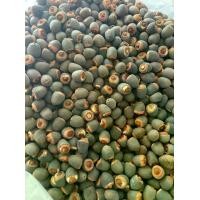 ราคา เมล็ดพันธุ์บัว เมล็ดพันธุ์บัวหลวงสีชมพูแบบเปิดหัว ราคากิโลกรัมละ400บาท มีประมาณ 1000-1200 เมล็ด (1731982101172552717)