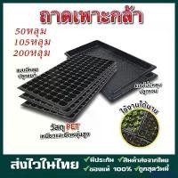 ราคา FFRHSLIANG จัดส่งฟรี กทม ถาดเพาะกล้า ถาดเพาะชำ ถาดเพาะเมล็ด ถาดเพาะต้นกล้า 50/105/200 หลุม เพาะข้าว ต้นอ่อน เมล็ด วัสดุ PET หนามาก ยืดหยุน ป้องกั (1732404662845539807)