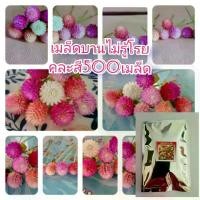 ราคา เมล็ดพันธุ์ดอกบานไม่รู้โรย 500เมล็ด (1729625831323568245)