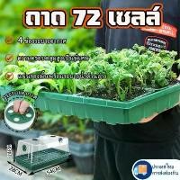 ราคา ส่งของในไทย ถาดเพาะกล้า เพาะต้นกล้าผัก กระถางต้นไม้ เพาะข้าว ถาดเพาะกล้า ถาดเพาะเมล็ด ต้นอ่อน เมล็ด ไฮโดร 72หลุม ฟองน้ำ (1730553757550217493)