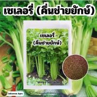 ราคา เมล็ดเซเลอรี่ หรือคึ่นช่ายยักษ์ 500 เมล็ด + คู่มือปลูก (1730436715538189043)