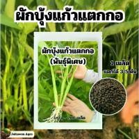 ราคา เมล็ดพันธ์ุ ผักบุ้งแก้วแตกกอ พันธ์ุพิเศษ บรรจุ 750 เมล็ด (1730815176164084467)