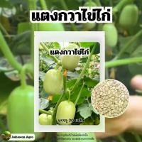 ราคา เมล็ดพันธ์ุ แตงกวาไข่ไก่ | แตงกวาขาวมินิ บรรจุ 20 เมล็ด (1730436680598915827)