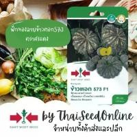 ราคา พร้อมส่งในไทย GGEW เมล็ดพันธุ์ซฟ ฟักทองลูกผสมข้าวตอก 573 25เมล็ด ตราศรแดง Pumpkin (1732035079747307188)