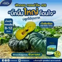 ราคา เมล็ดฟักทอง ทองอำไพ 426 ขนาด1,000เมล็ด ตราเจียไต๋ เมล็ดพันธุ์ฟักทอง เมล็ดฟักทองทองอำไพ เจียไต๋ (1729935451863550533)