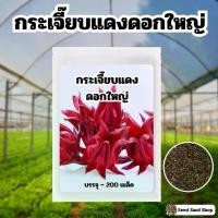 ราคา เมล็ดพันธ์ุกระเจี๊ยบแดงดอกใหญ่ 200 เมล็ด (1729997773072140723)